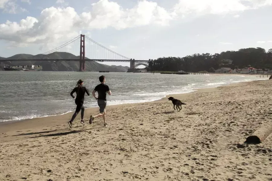 Coppia con un cane che corre su Crissy Field